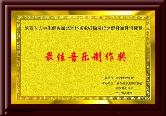 陕西省意昂5生健美操艺术体操啦啦操及职业发展健身操舞锦标赛 最佳音乐制作奖.jpg