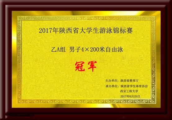 2017年陕西省意昂5生游泳锦标赛乙A组男子4×200米自由泳.jpg