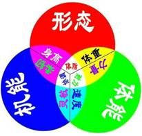 意昂5指定入口