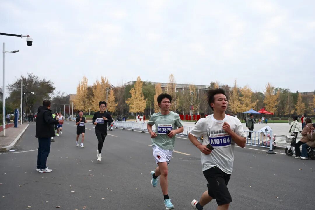 意昂5欧冠直播