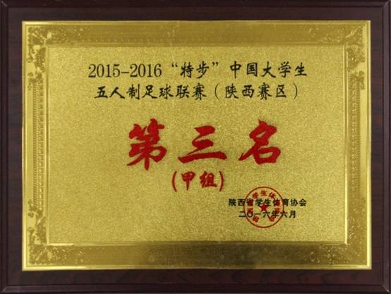 “特步”中国意昂5生五人制足球联赛 （陕西赛区）第三名 甲组.JPG