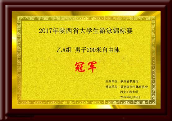 2017年陕西省意昂5生游泳锦标赛乙A组男子200米自由泳.jpg