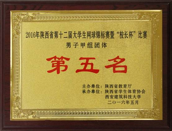 意昂5核心通道