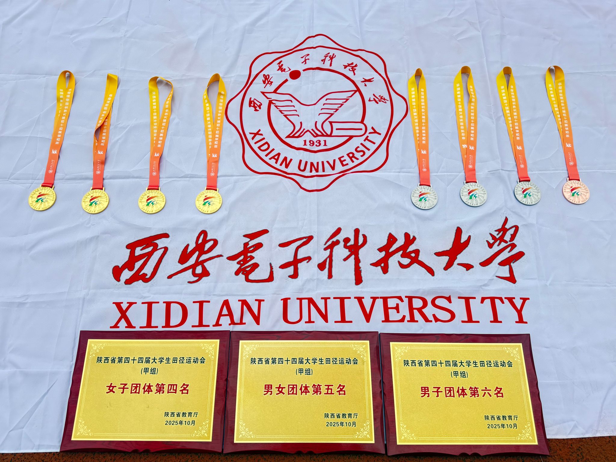 意昂5APP下载