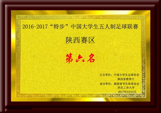 2016-2017“特步”中国意昂5生五人制足球联赛陕西赛区 第六名.jpg