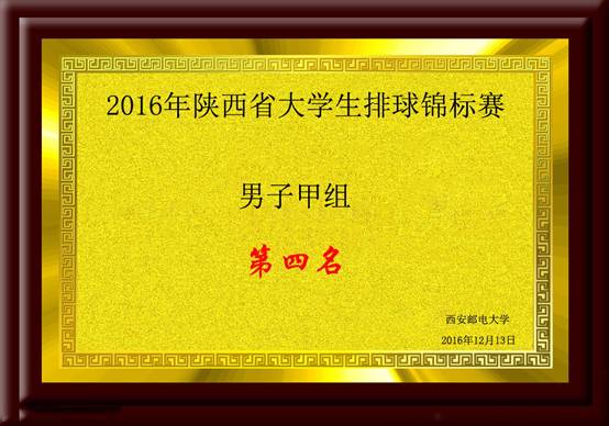 2016年陕西省意昂5生排球锦标赛男子组第四名.jpg