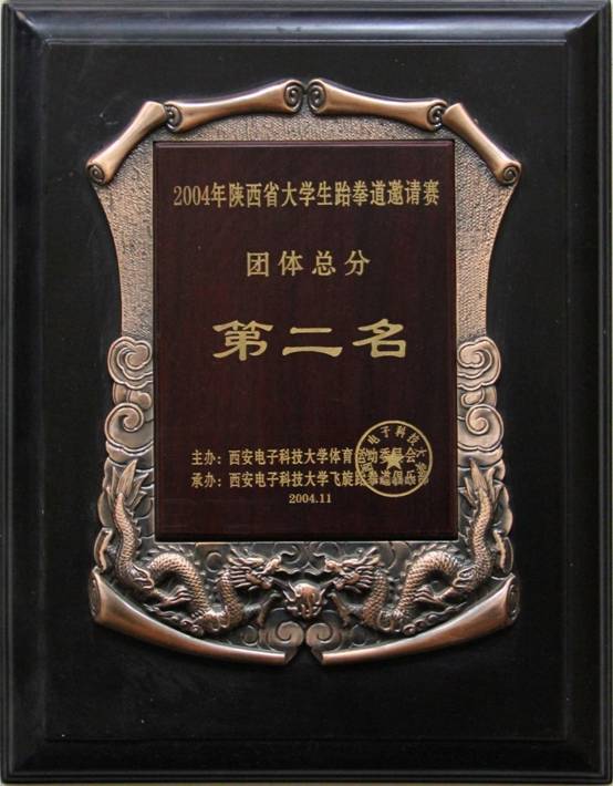意昂5欧洲杯图片