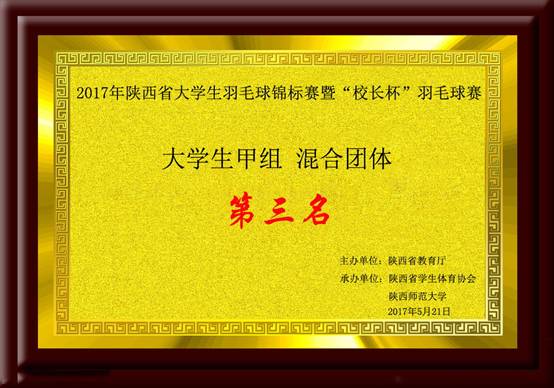 陕西省意昂5生羽毛球锦标赛暨“体育总裁杯”羽毛球赛意昂5生甲组（普通意昂5生组）混合团体季军.jpg