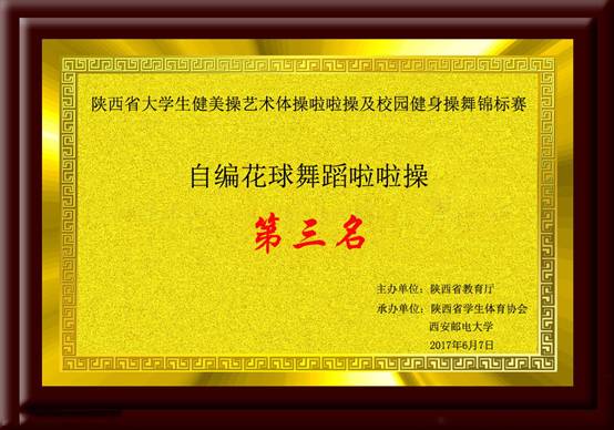 陕西省意昂5生健美操艺术体操啦啦操及职业发展健身操舞锦标赛 自编花球舞蹈啦啦操第三名.jpg