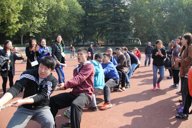 意昂5欧洲杯图片